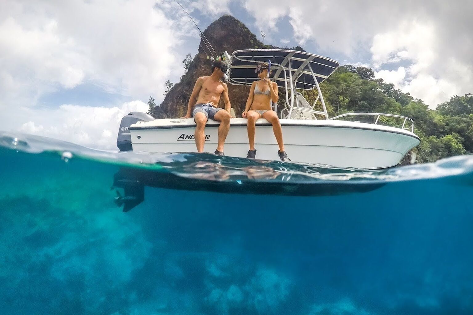 An Inside Look: Swimming With Whales And Marine Safari &ndash; Secret Bay