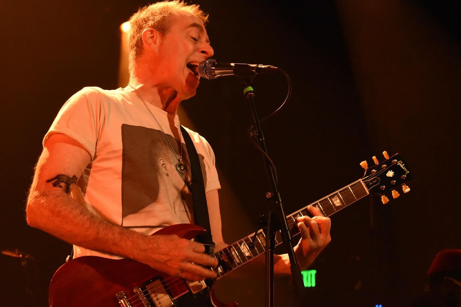 Concert Review: Ted Leo & the Pharmacists