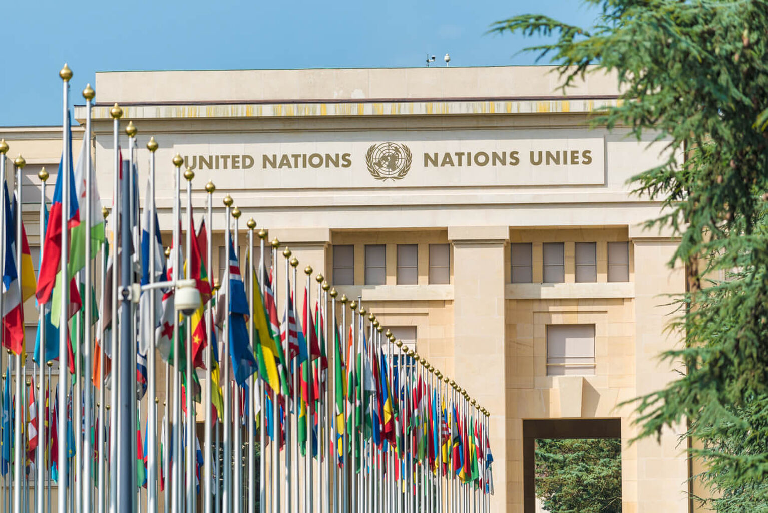 VN-comit&eacute;: Nederlandse overheid laat mensen met een beperking in de kou staan - Iederin