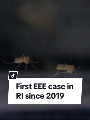 RI announces first case of EEE since 2019