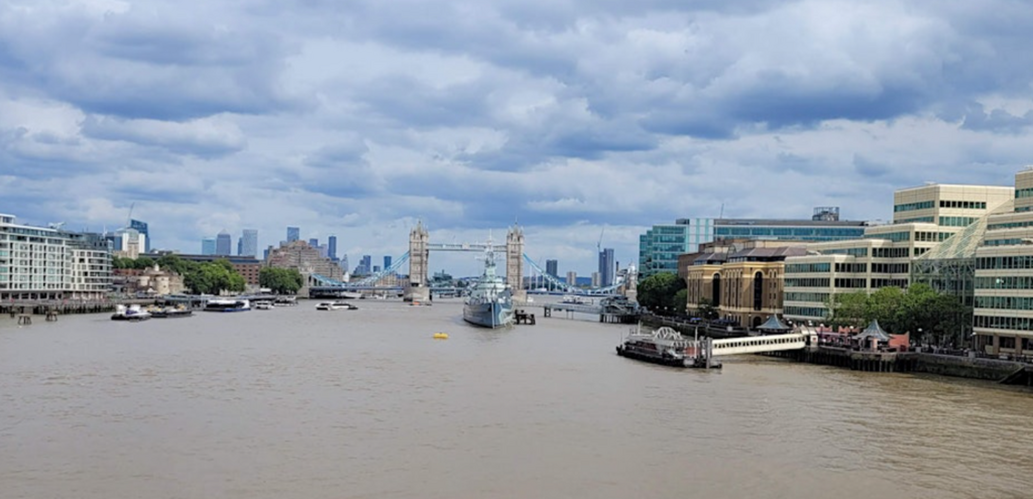 New Research on Estuarine Ecosystems by TEP Experts