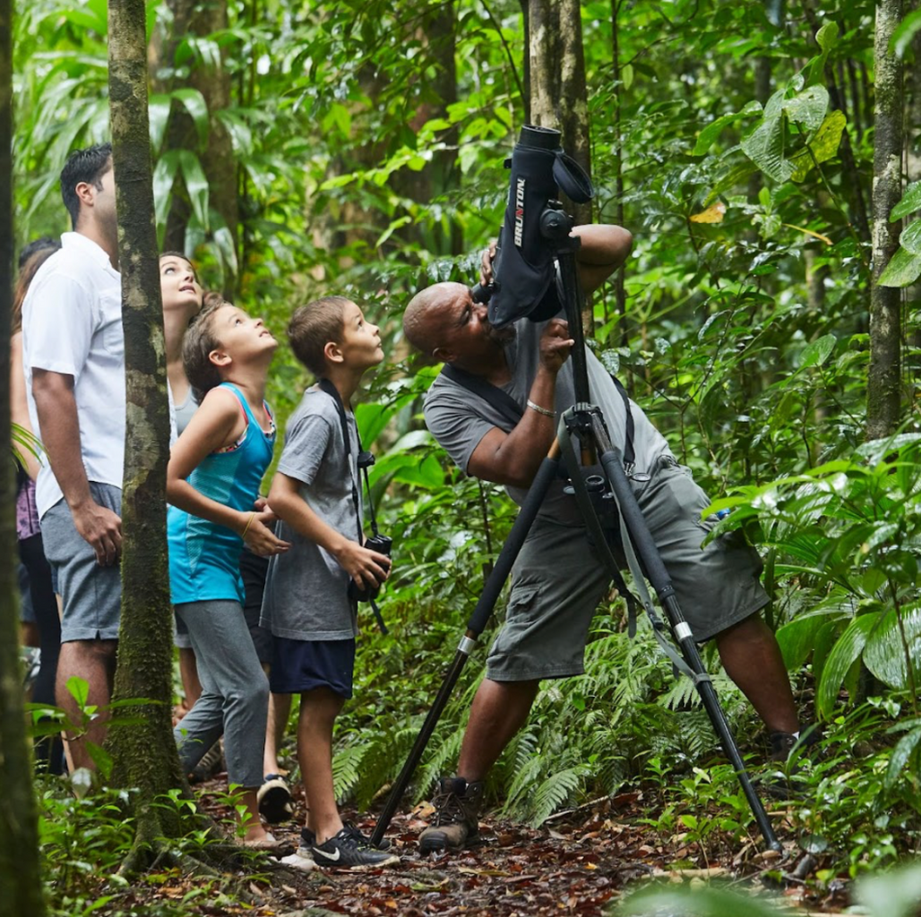 The Ultimate Family Escape 