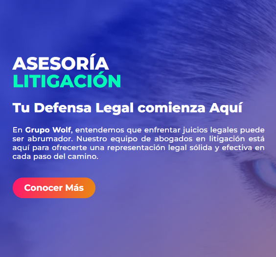Asesor&iacute;a Litigaci&oacute;n