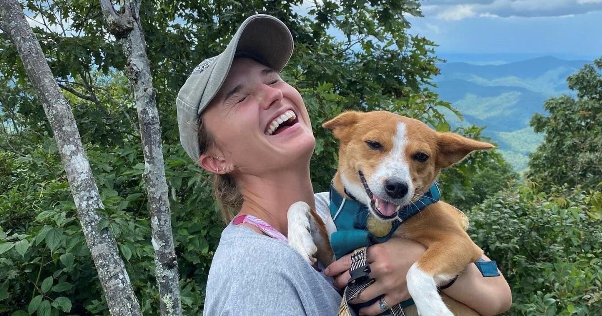Top Pet-Friendly Places in Blue Ridge