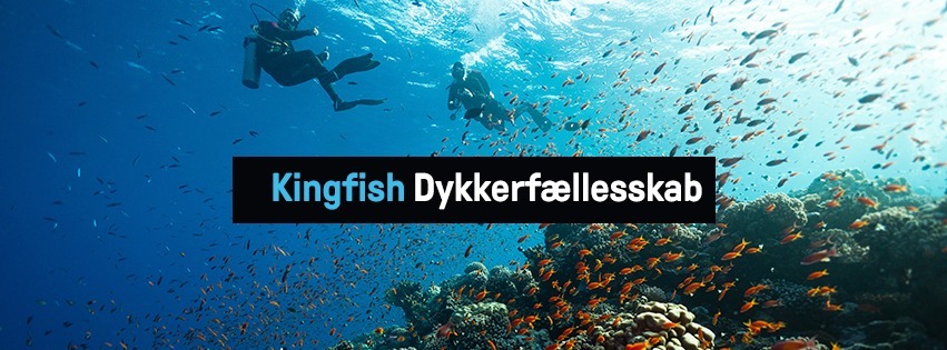 Kingfish Dykkerf&aelig;llesskab