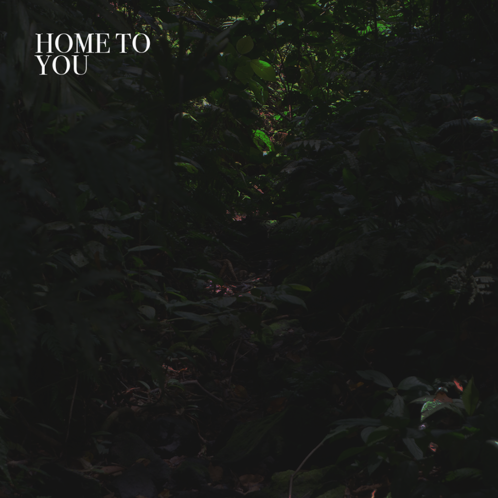 'HOME TO YOU' ON SPOTIFY