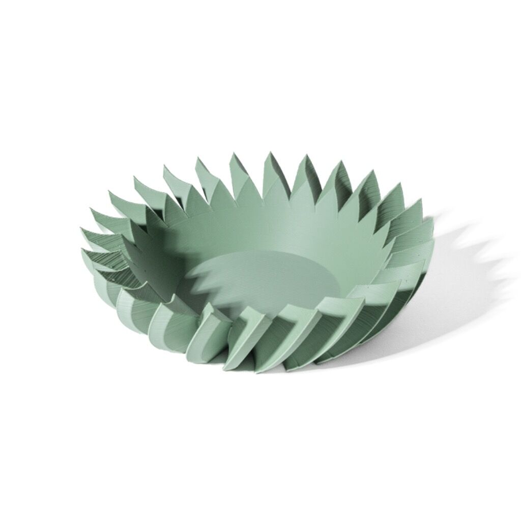 The Voro Tray