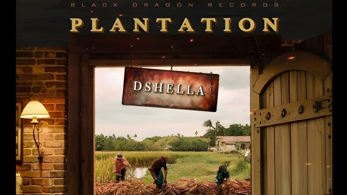 DShella - plantation