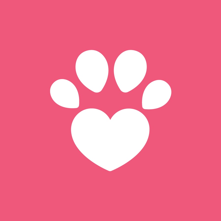 YouTube &bull; CatCast