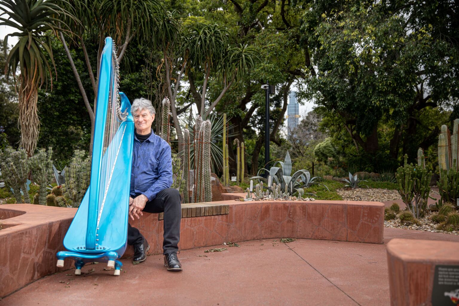 Harp Meditations
