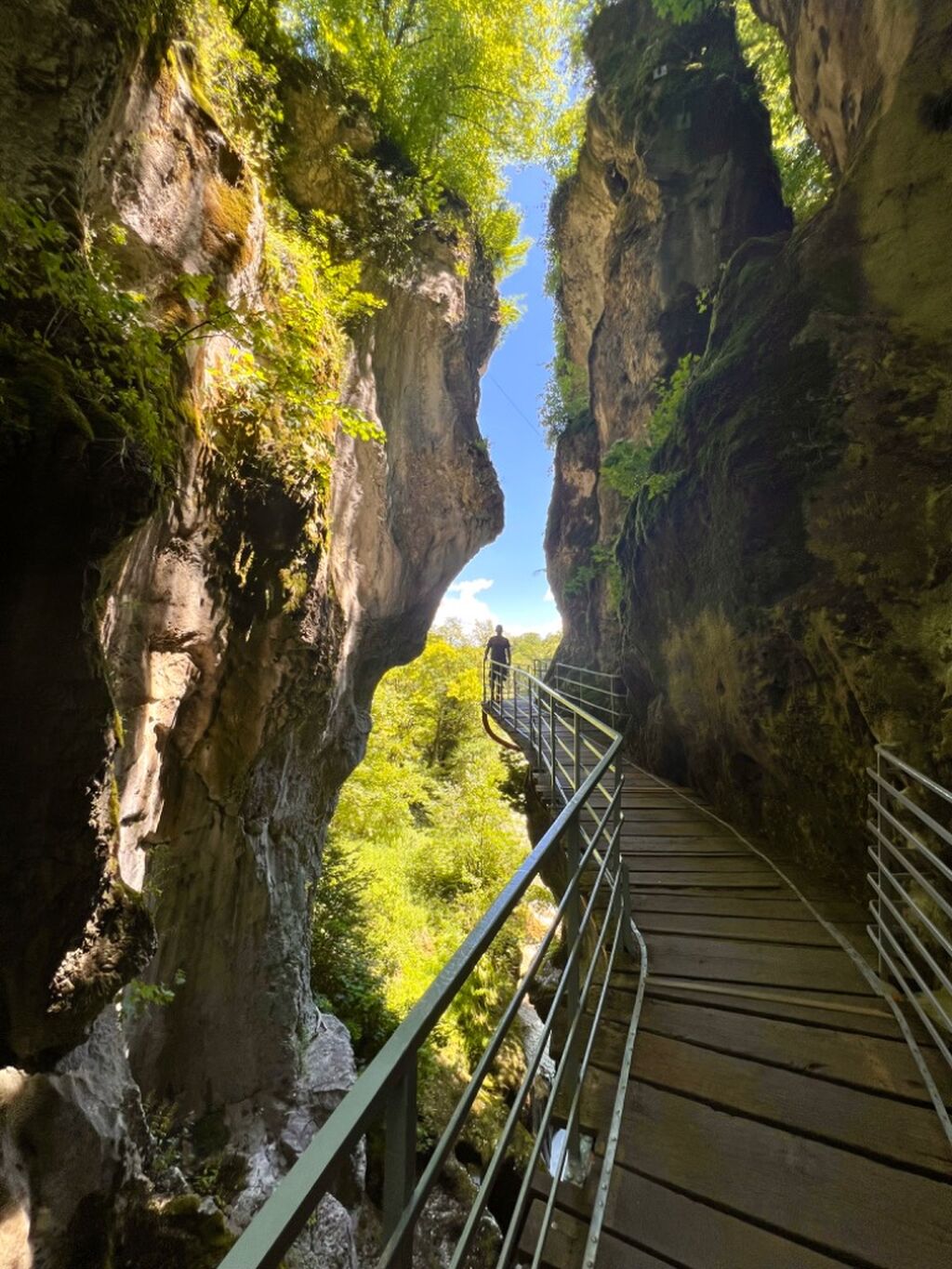 Gorges du fier
