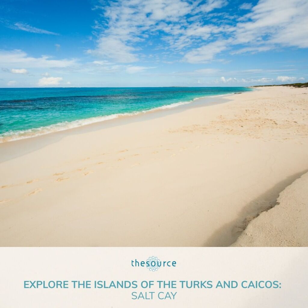 Explore the islands of the Turks and Caicos: Salt Cay