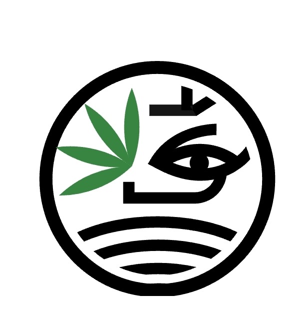 De paciente a m&eacute;dica prescritora de cannabis: A planta como aliada para qualidade de vida e diminui&ccedil;&atilde;o das crises de dor cr&ocirc;nica