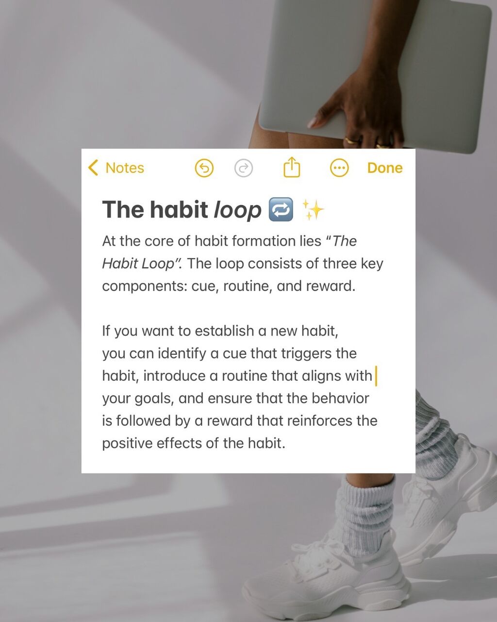 The Habit Loop