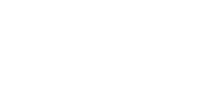 Feminist Center