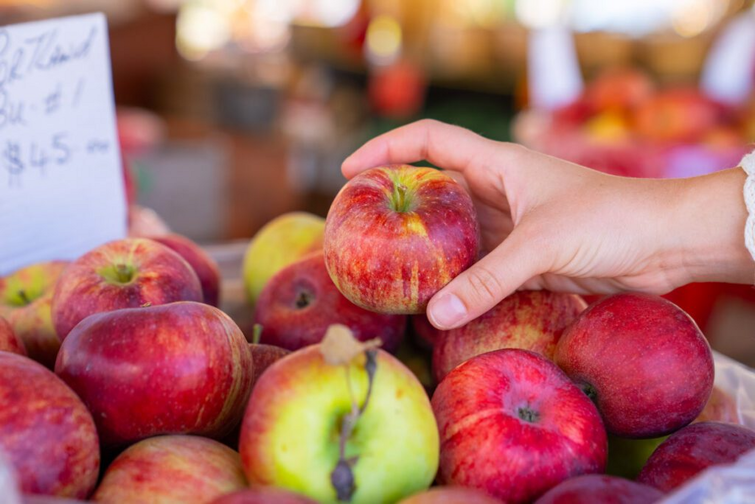 Two Delectable Ontario Trails to Follow this Fall