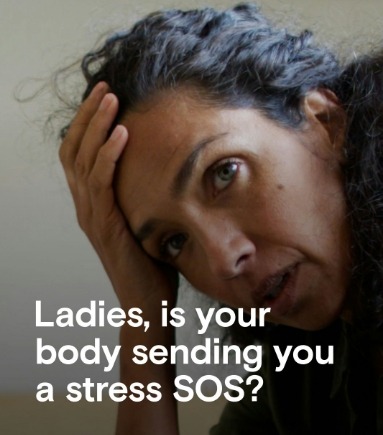Cortisol Stress Hormone Test