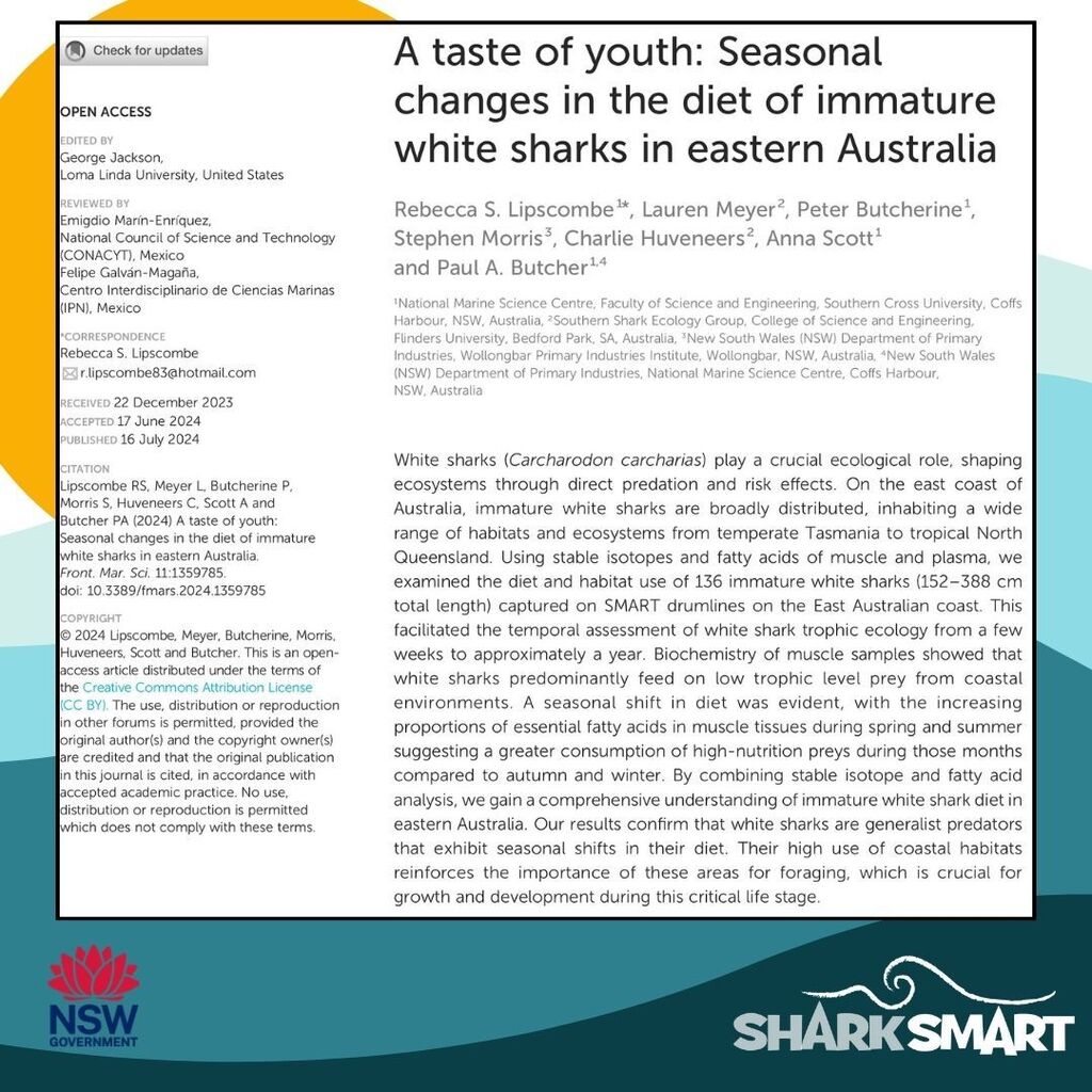 A taste of youth: Seasonal changes in the diet of immature white sharks in eastern Australia