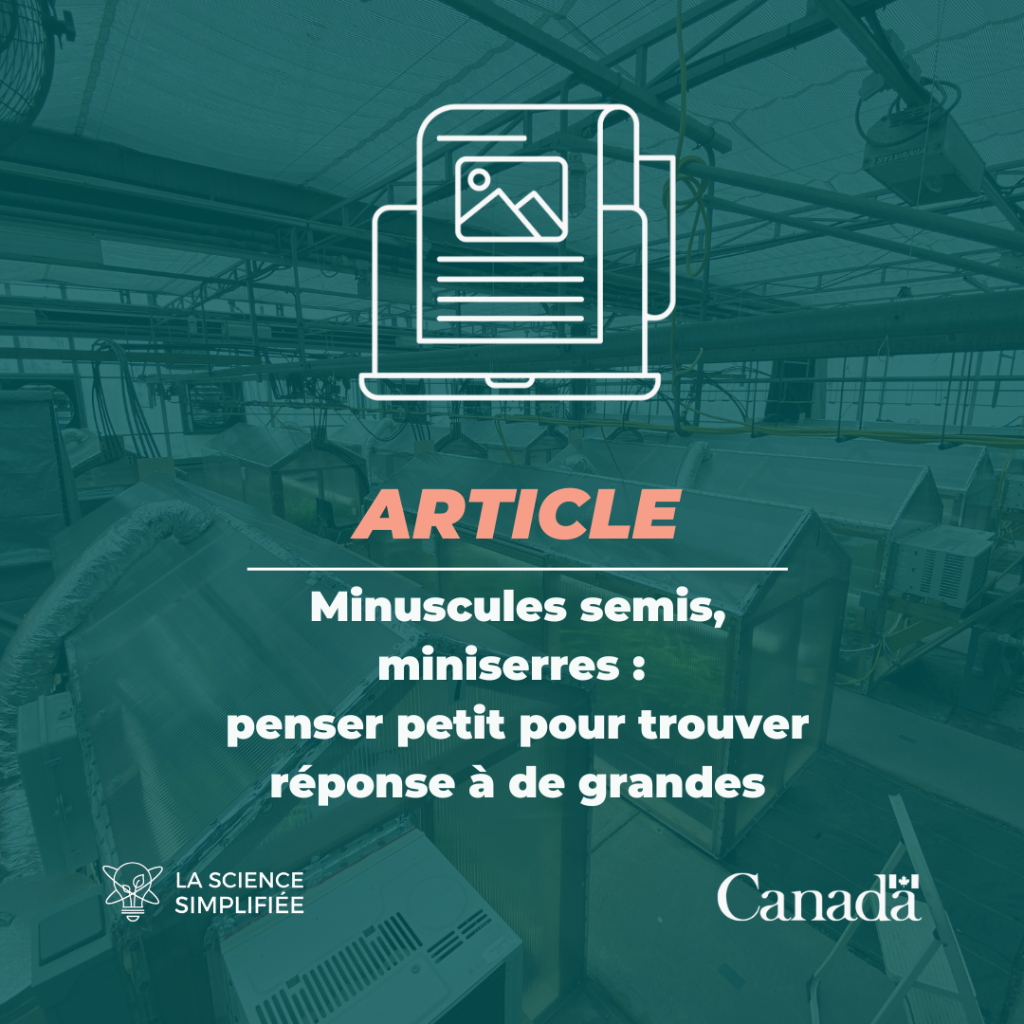 Minuscules semis, miniserres : penser petit pour trouver r&eacute;ponse &agrave; de grandes