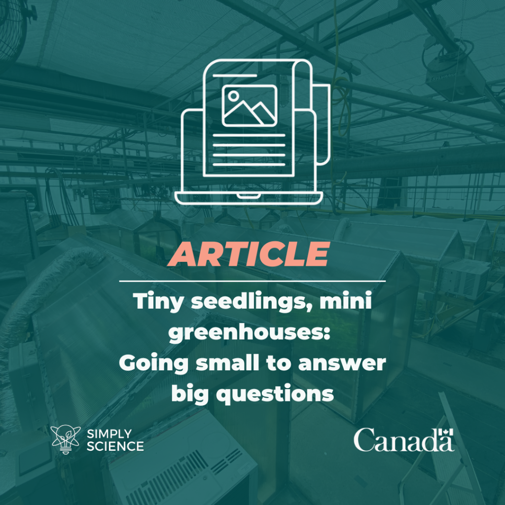 Tiny seedlings, mini greenhouses: Going small to answer big questions