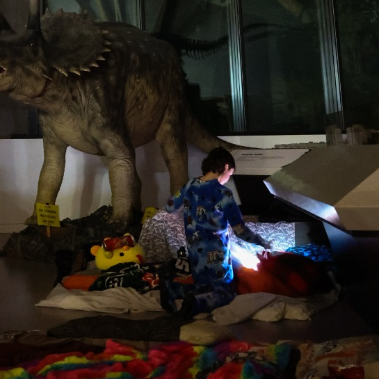 Night at the Museum