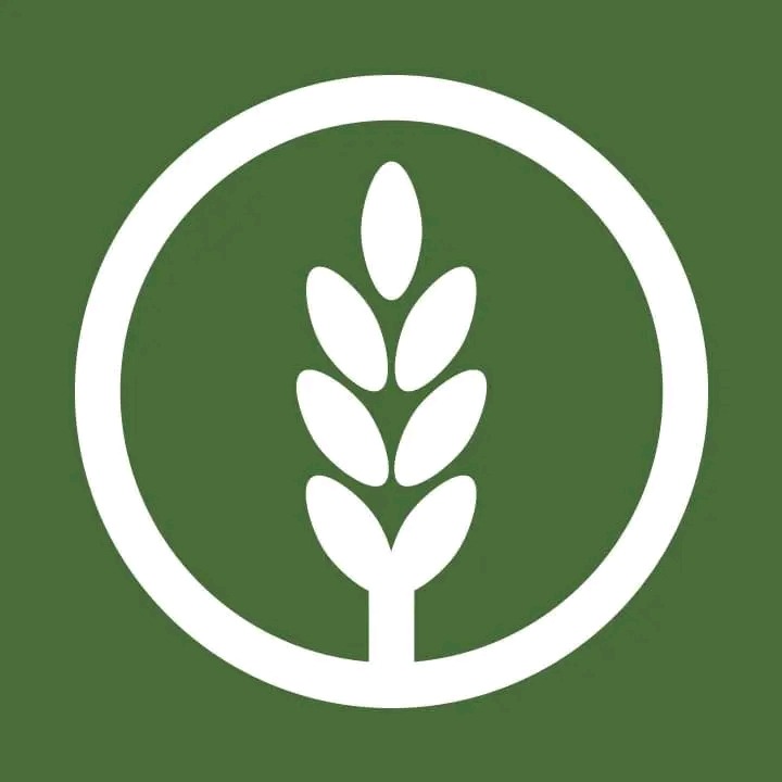 NEOLIFE international 