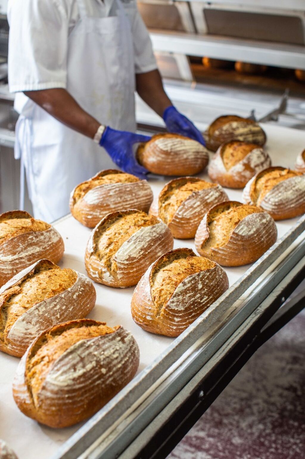 Commissary Job Opportunities