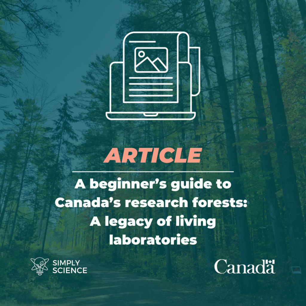A beginner&rsquo;s guide to Canada&rsquo;s research forests: A legacy of living laboratories
