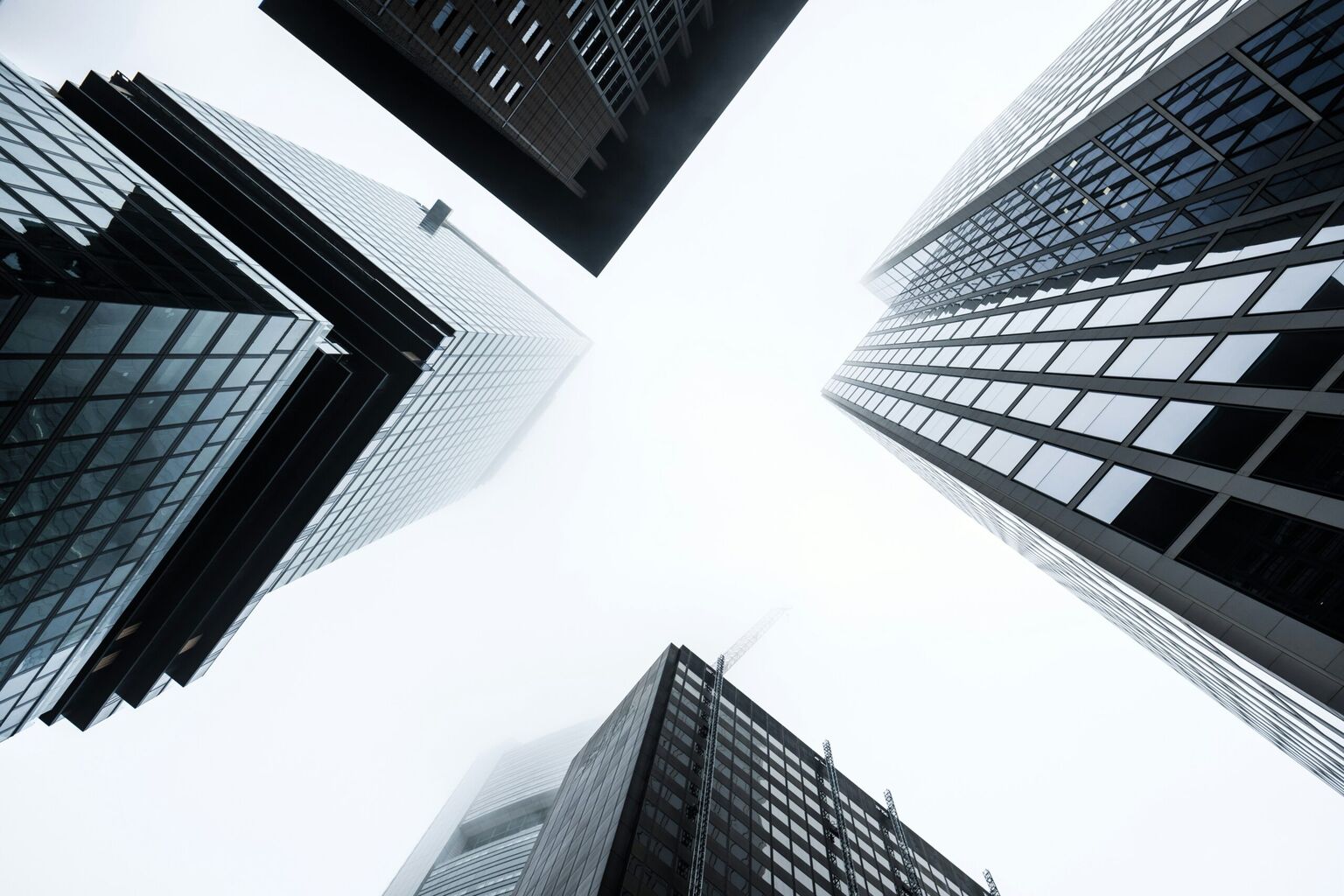 Escaping the Consulting Trap with Chris Hurl and Leah Werner | Perspectives Journal