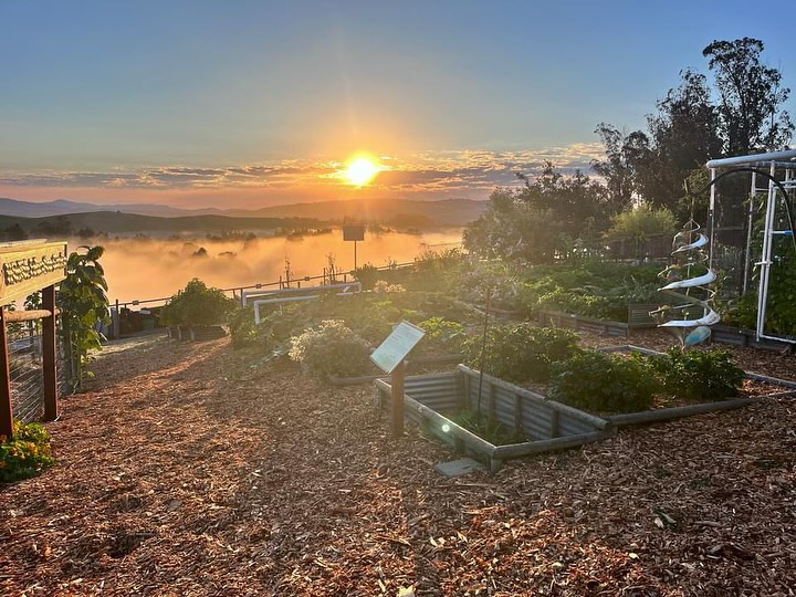 Sunrise Yoga and Meditation