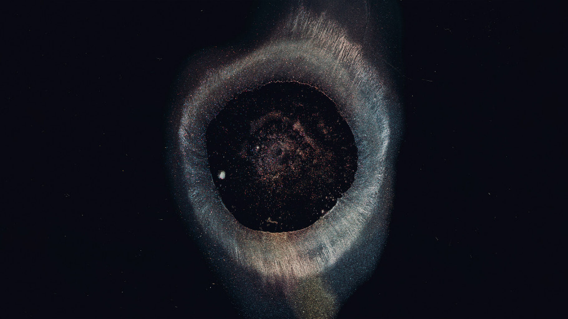 Discord