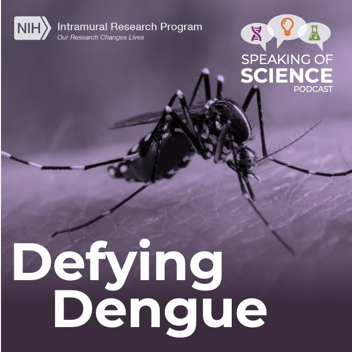 Speaking of Science Podcast: Defying Dengue