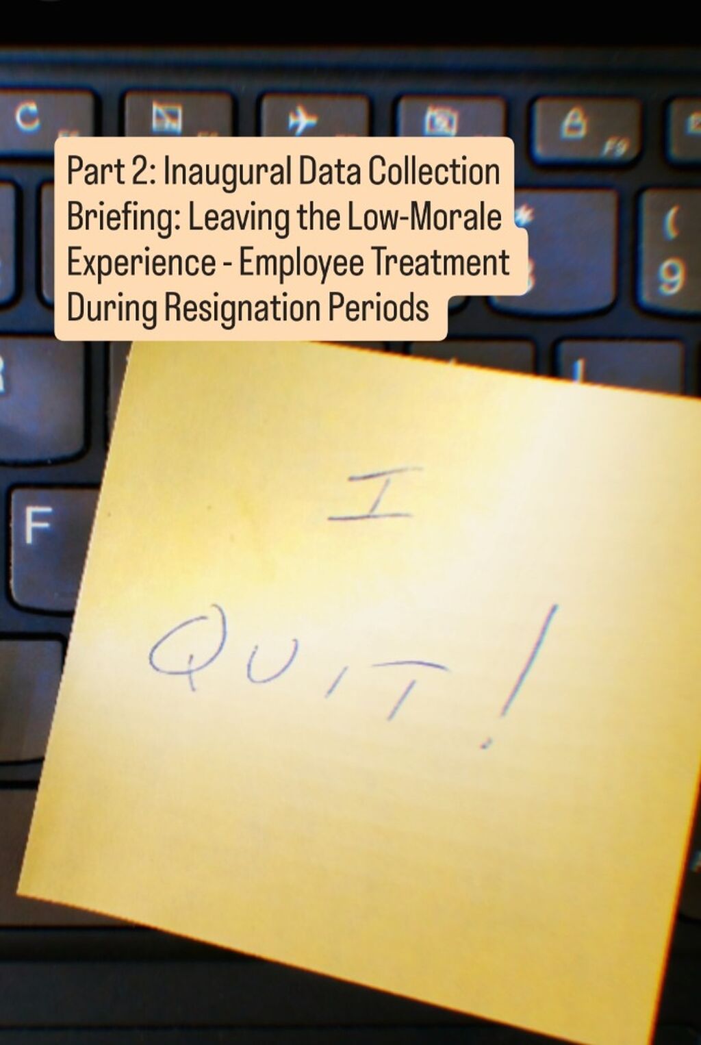 PART 2: INAUGURAL DATA COLLECTION BRIEFING: EMPLOYEE TREATMENT DURING RESIGNATION PERIODS