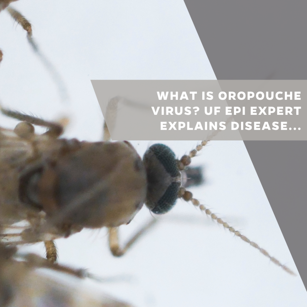 What is Oropouche virus UF EPI expert explains disease known as sloth fever.
