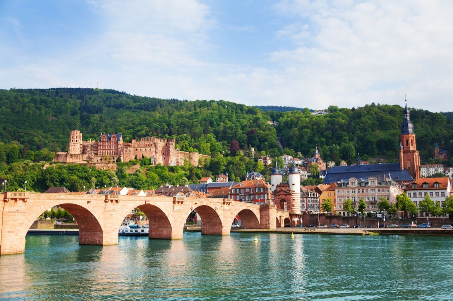 Uncover Historic Heidelberg and Majestic Auerbach Castle