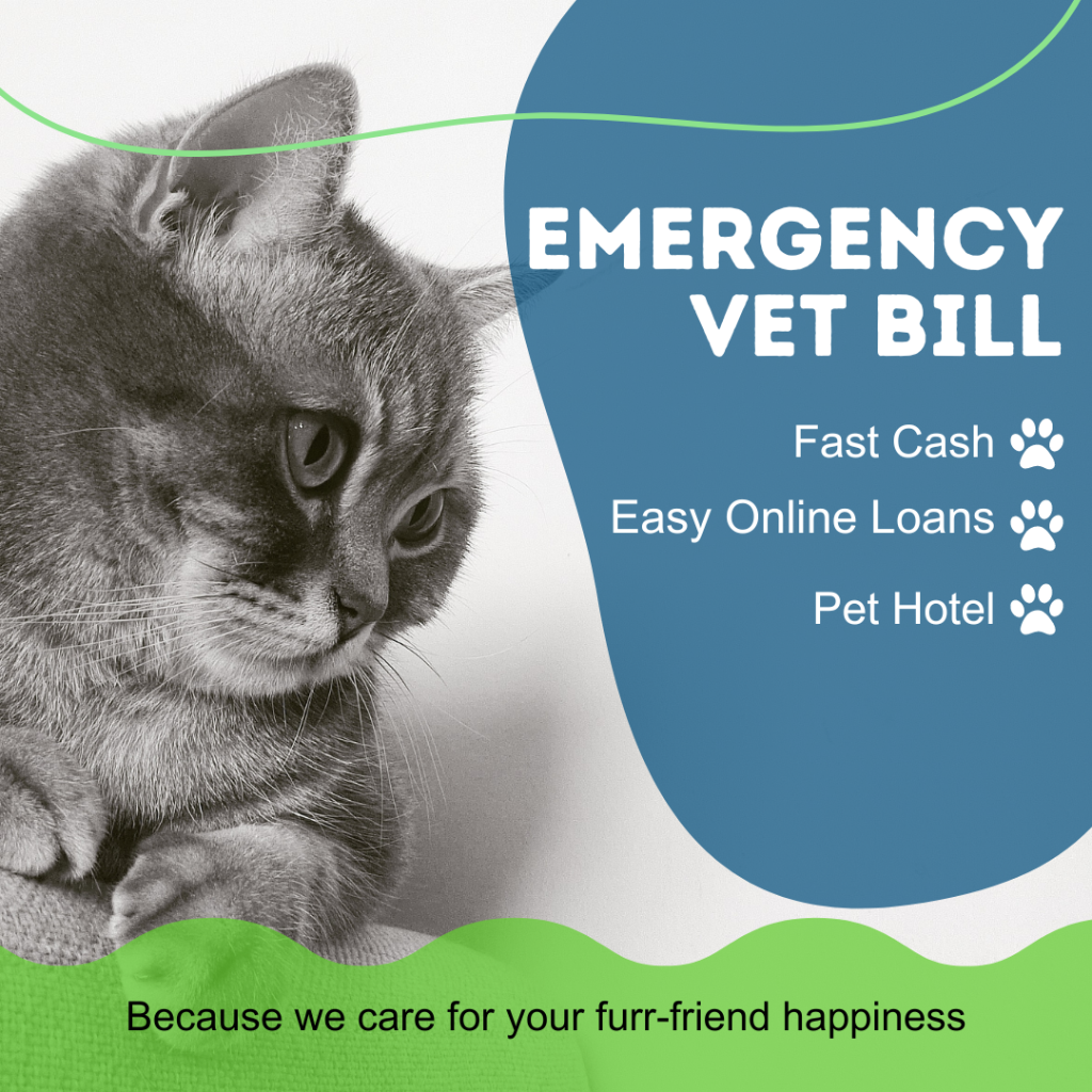 Our pets are family, but let&rsquo;s face it&mdash;vet bills can come out of nowhere.
