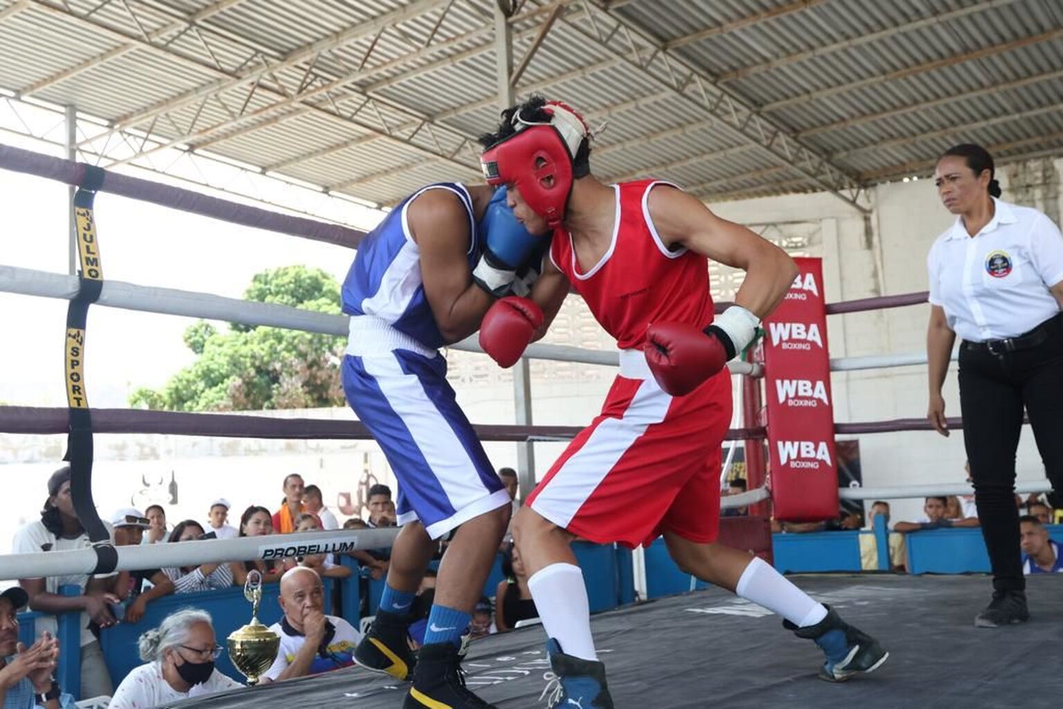 Aragua acoger&aacute; el Future of Venezuela Boxing este 12 de octubre