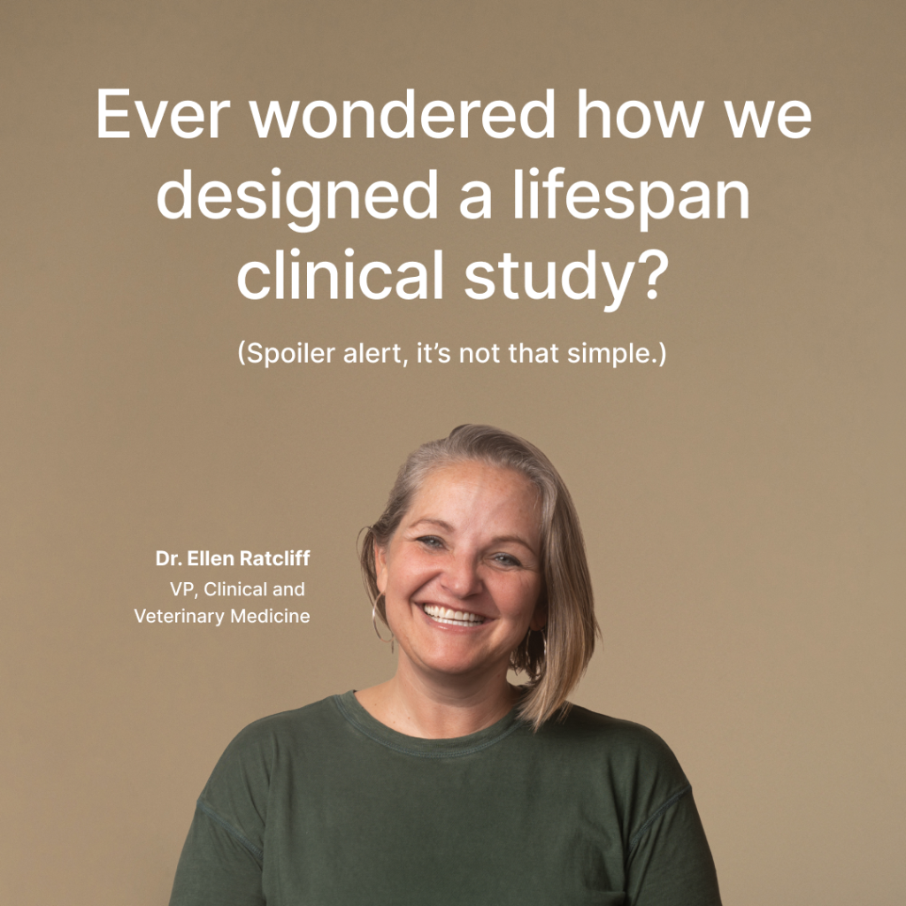 STAY update by Dr. Ellen