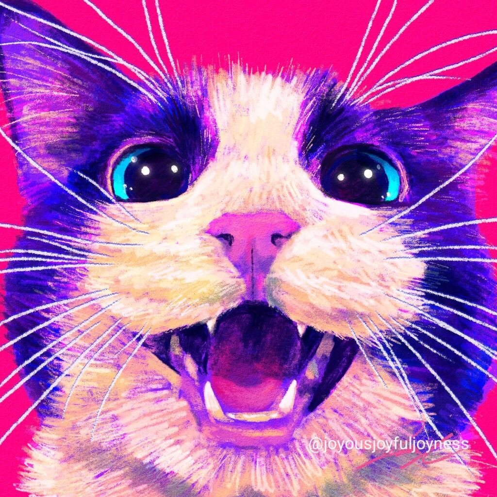 Cat Art