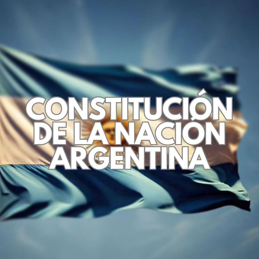 Constitucion Nacional
