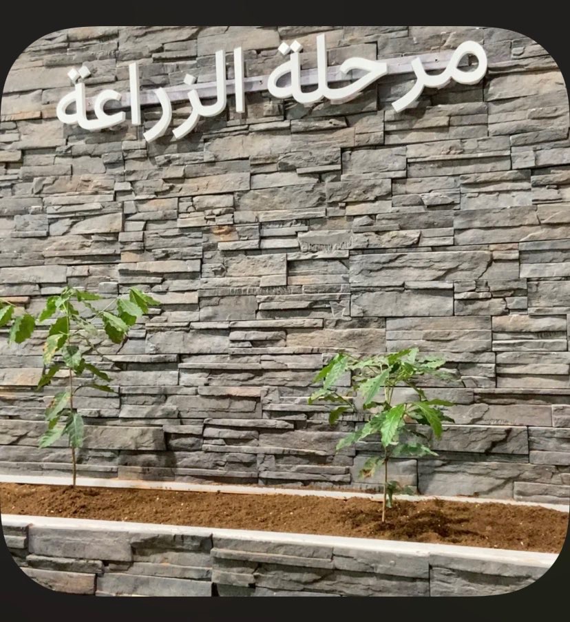 مهرجان البن