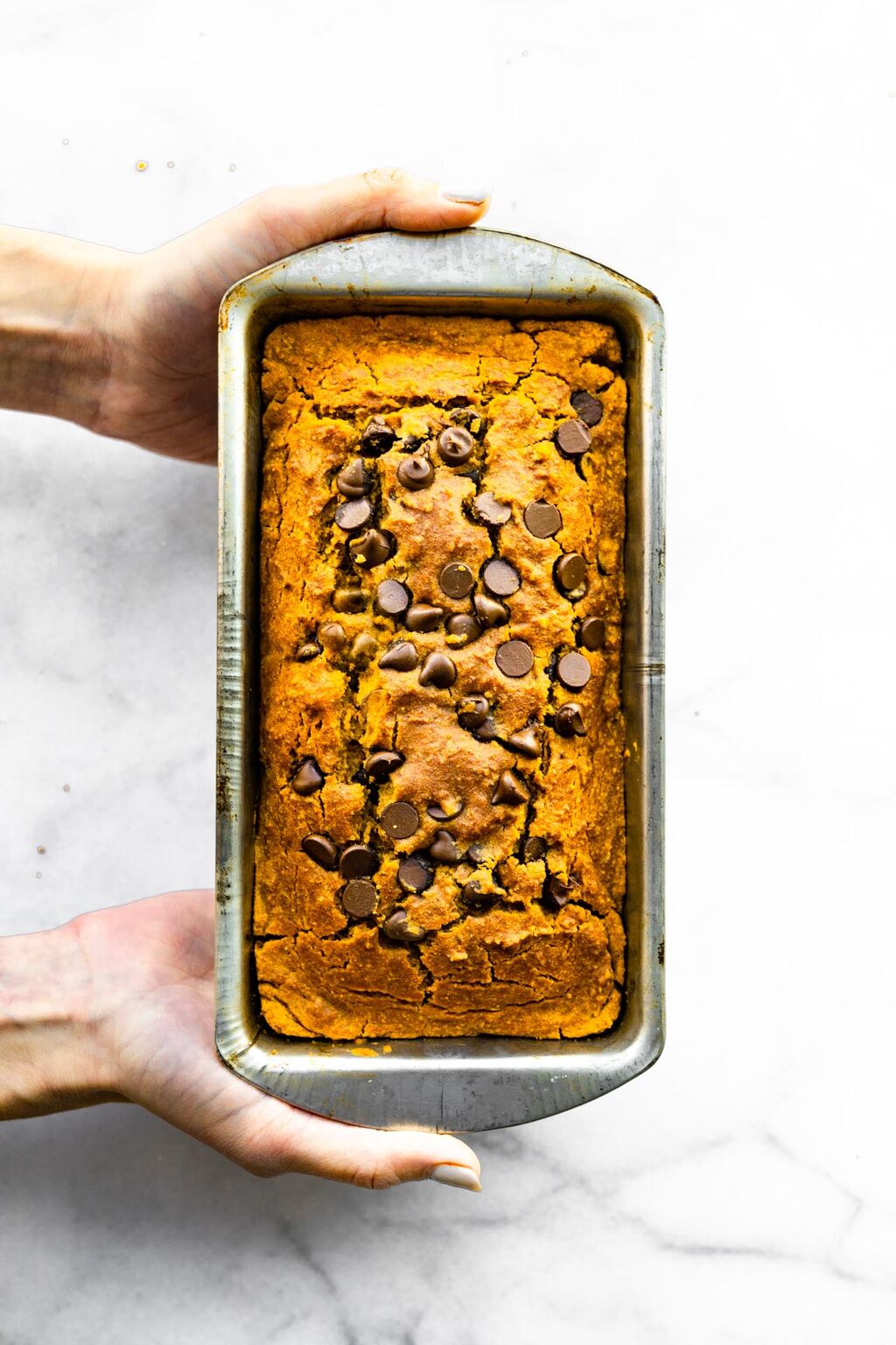 Vegan Pumpkin Bread with Chocolate Chips - Cotter Crunch
