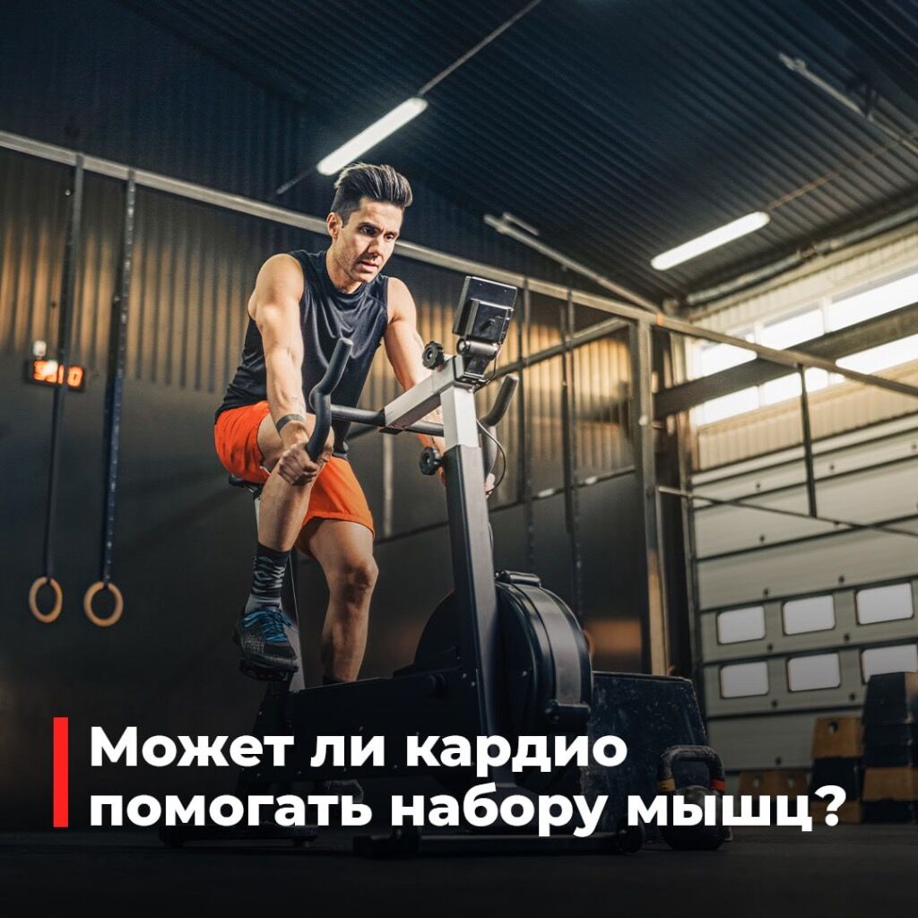 Статья 