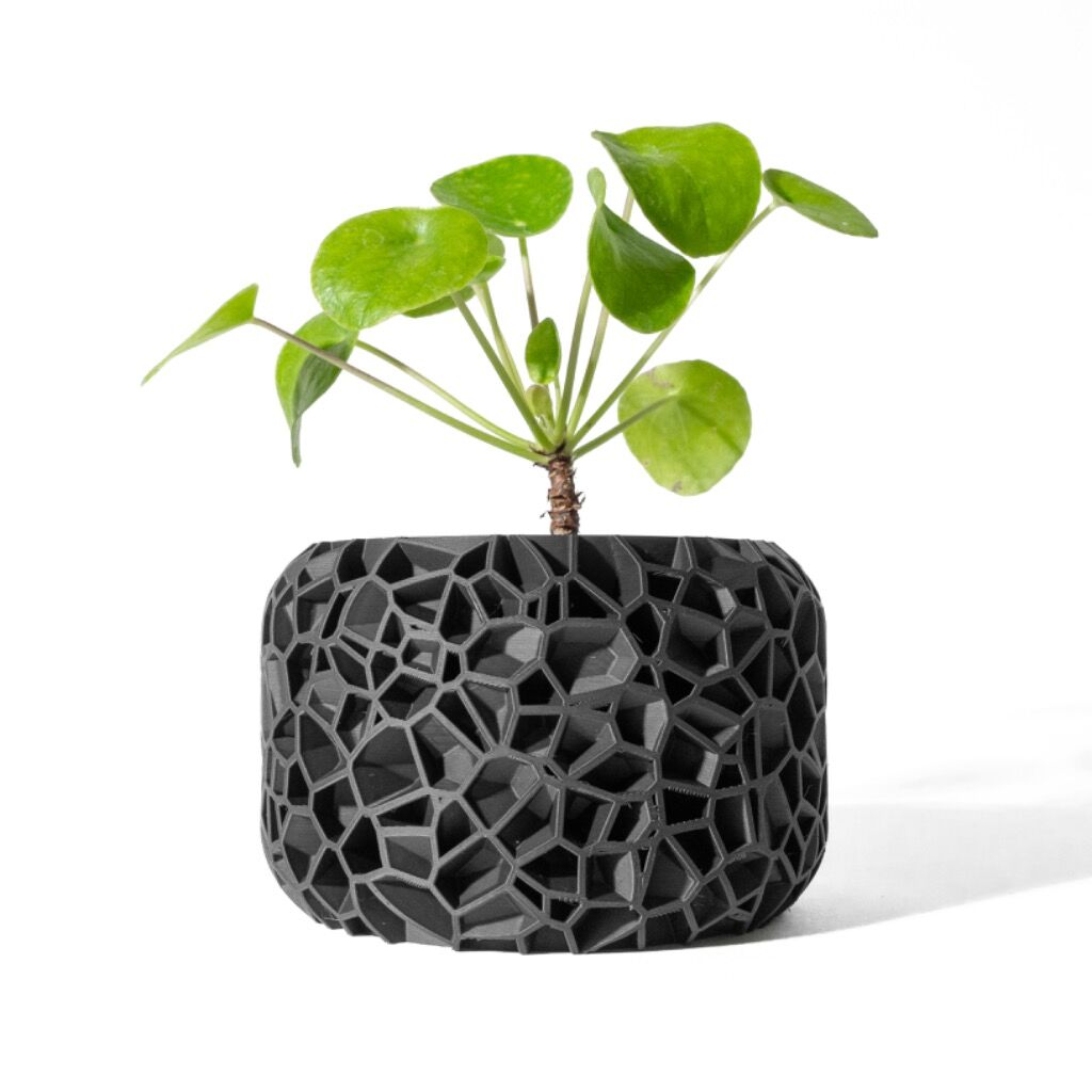 The Vori Planter