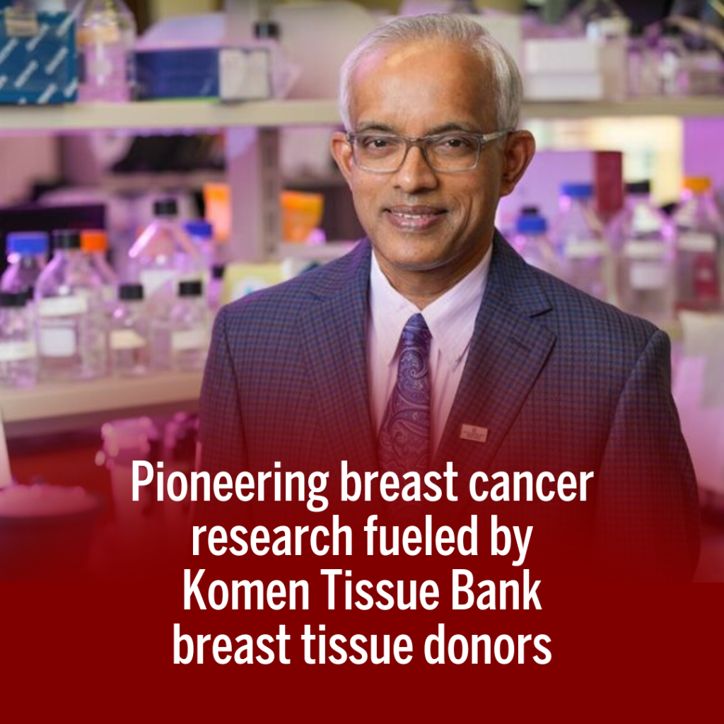 Pioneering breast cancer research fueled by Komen Tissue Bank breast tissue donors