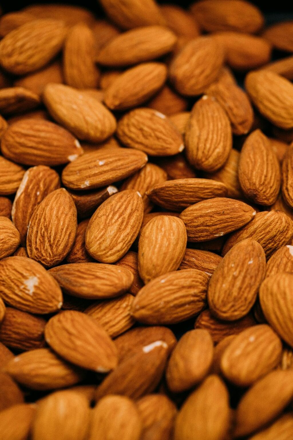 Sustainable Almond Farming