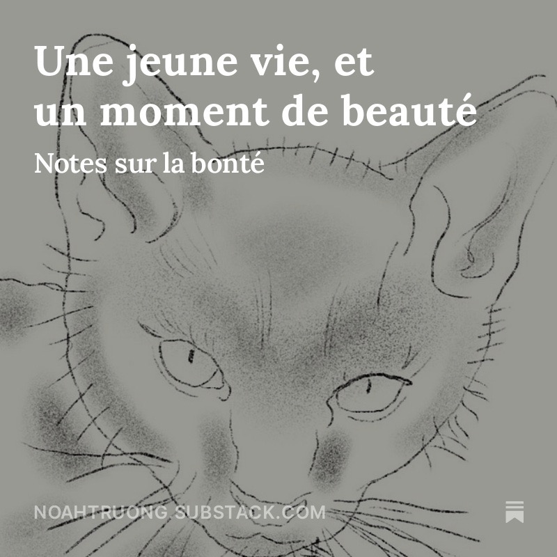 Notes sur la bont&eacute;