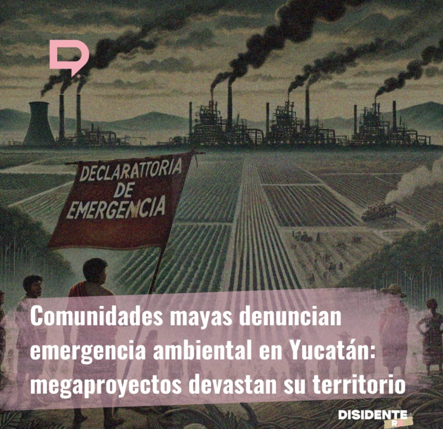 Comunidades mayas denuncian emergencia ambiental en Yucat&aacute;n: megaproyectos devastan su territorio