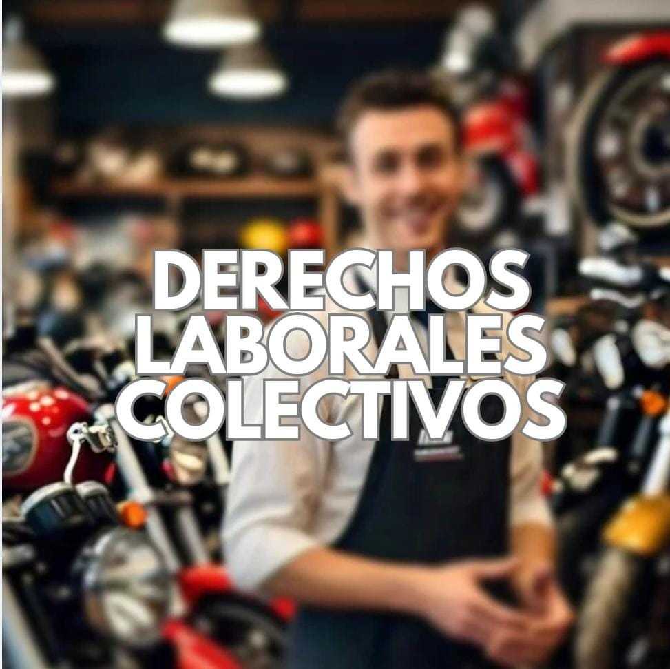 Derechos Laborales Colectivos