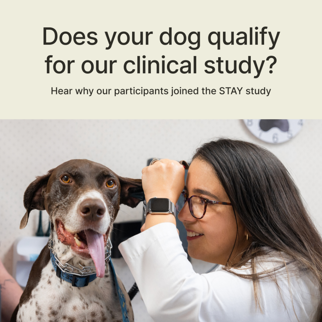 Join the STAY study